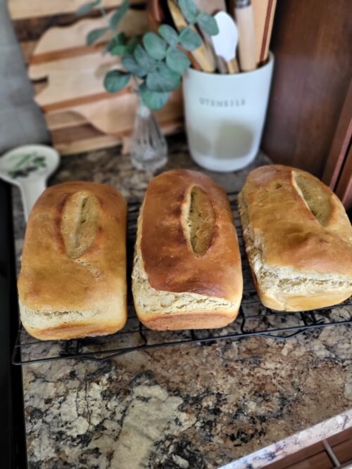 Homemade Sourdough Sandwich Bread